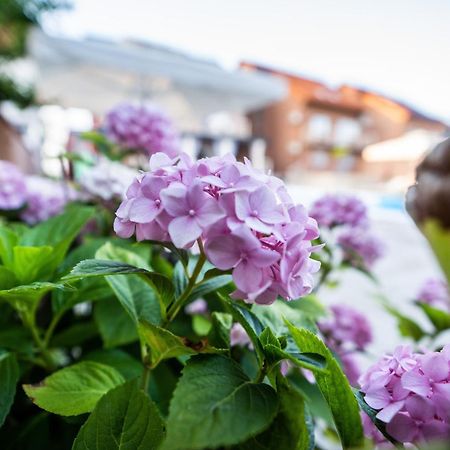 Villa Biser Dunava Vukovar Dış mekan fotoğraf